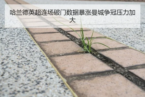 哈兰德英超连场破门数据暴涨曼城争冠压力加大 | ayx.com