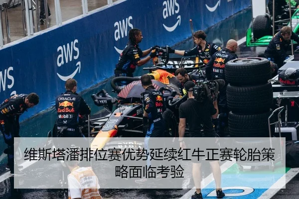 维斯塔潘排位赛优势延续红牛正赛轮胎策略面临考验 | ayx.com